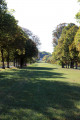 Grande allée arborée face au château de Bouges