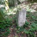 Tour du Grand Nancy : traversée du Bois Communal de la Fourasse