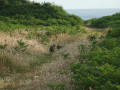 Habitant de la dune