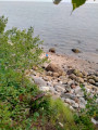 Boisé Saint-Gilles, Baie-Comeau