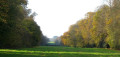 Prestwood and Cobblershill Farm
