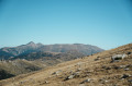 Harde d'isards devant notre fier Canigou et pic des Sept Hommes