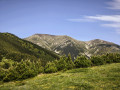 Les Queroses - Coll de Bise - La Parcigoule
