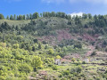 Haute Mihubi