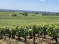 Sur les hauteurs de Dijon par le plateau de Chenôve