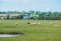 Entre Montmartin et Regnéville par la campagne et le Havre de la Sienne