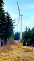 Le Braunhörnle et le Rohrhardsberg par le Genießerpfade