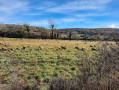 Saint-Hubert par la Chapelle Saint-Michel depuis Monieux