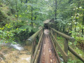 Burggrabenklamm, Schwarzensee & St. Wolfgang