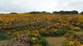 Ile de Groix