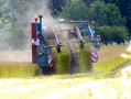 Impasse de la Linerie, Hameau de Miquetot