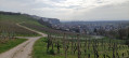 Isteiner Klotz, Huttingen et Römerstrasse par les vignes