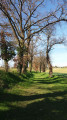 Joli chemin sous les arbres entre le hameau de Stoupignan et Montpitol