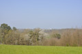 Joli vue sur le Château de Bridoré