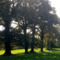 Pretty countryside