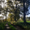 Pretty countryside