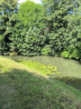 Merville, au fil de l'eau
