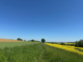 Le Chemin Européen de Saint-Colomban