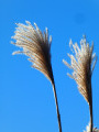 Boucle campagnarde autour de Marbais