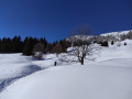 Jonction avec le chemin de la Gaudinière d'en bas