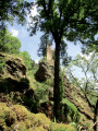 Vallée du Viaur par la Chapelle des Infournats et Jouqueviel