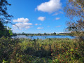 Kührener Teich und Lanker See