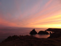 Kynance cove (3)