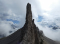 L'aiguille de profil