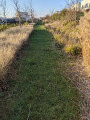 L'allée piétonne en herbe