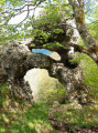 Roc de Toulau et Rochers de la Sausse