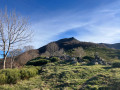 l'Arpon du Diable, vu à la montée