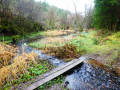 Boucle ardennaise au Sud de La Roche-en-Ardenne