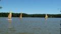 L'école de voile sur le grand lac