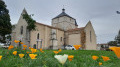 De Jard-sur-Mer à Saint-Vincent-sur-Jard