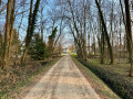 L'entrée de Berrwiller depuis le bois de Bertschwiller