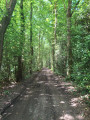L'entr&eacute;e du Bois de P&icirc;tres