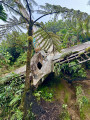 La Soufrière et épave du DC-3 avec retour par le Col de l’Échelle
