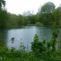 l'Etang de Merrey