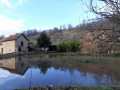 L'étang du vieux moulin