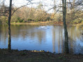 L'étang près du moulin d'Ornon