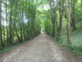 La Rigole de l'Oise de Vadencourt à Lesquielles-Saint-Germain