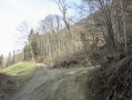 Von Schloss Lengberg zum Golger Memorial