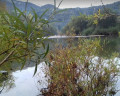 la Bienne avec ses couleurs d'automne