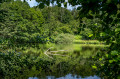 La branche et son reflet