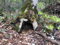 La cabane aux lutins