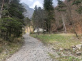 La cabane forestière