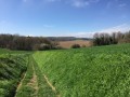 La campagne