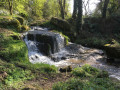 Chemin des lavandières et cascade de Cambourg au départ du bourg de Bréhand