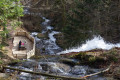 Du Hohwald à la Source de l'Andlau, la Cascade de l'Andlau et le Lindenhof