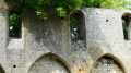 La Chapelle de Champlieu  envahie par la végétation